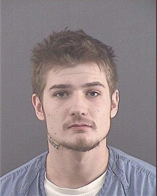 VICARY, ROBERT LEE - Peoria County, IL