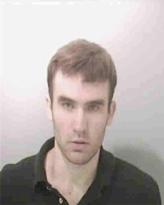 FULTON, MATTHEW MAGRATH - Peoria County, IL