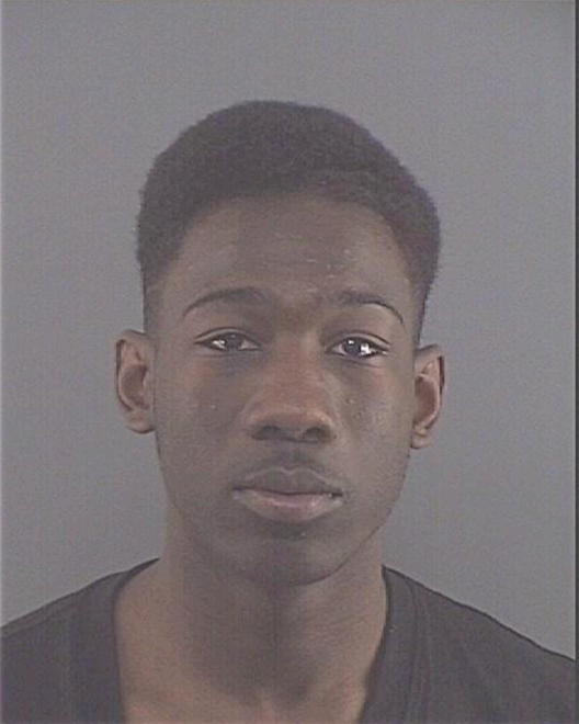 POLNITZ, ANTHONY J - Peoria County, IL