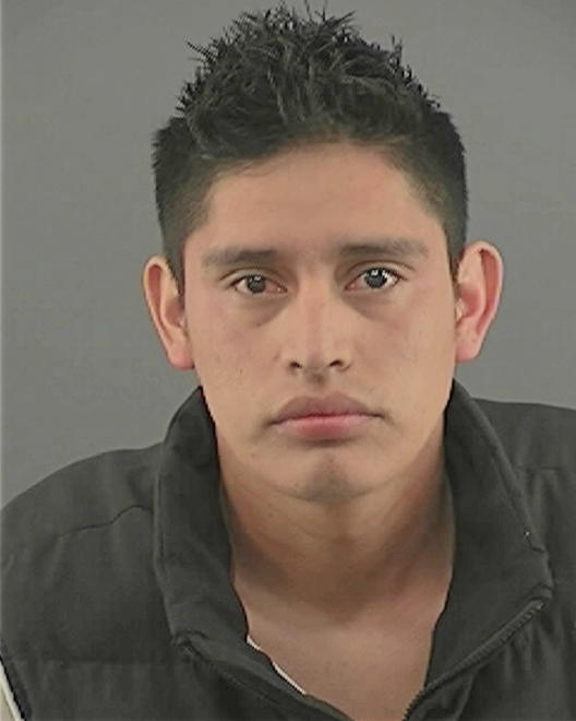 GONZALEZ, DOMINGO MENDEZ - Peoria County, IL