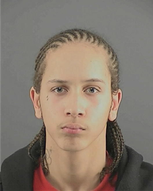 NESBIT, JARRED T - Peoria County, IL