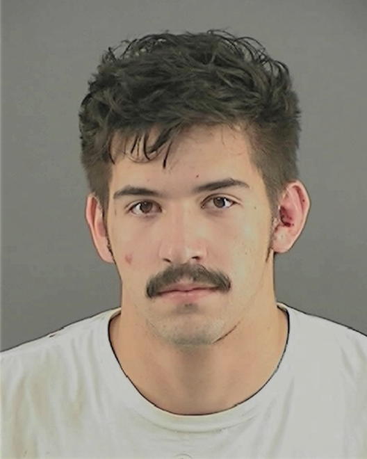 WHITE, ANDREW ZENAS - Peoria County, IL