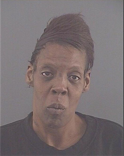 HOLLINS, CAROLYN MARIE - Peoria County, IL