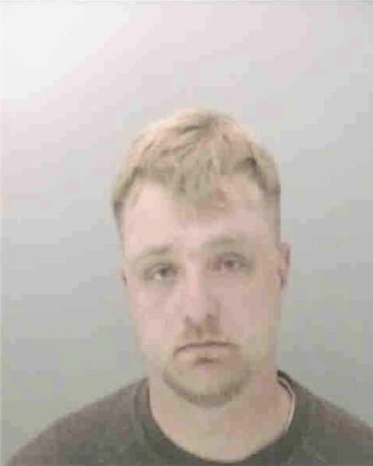 WILLIAMS, DAMIEN MICHAEL - Peoria County, IL