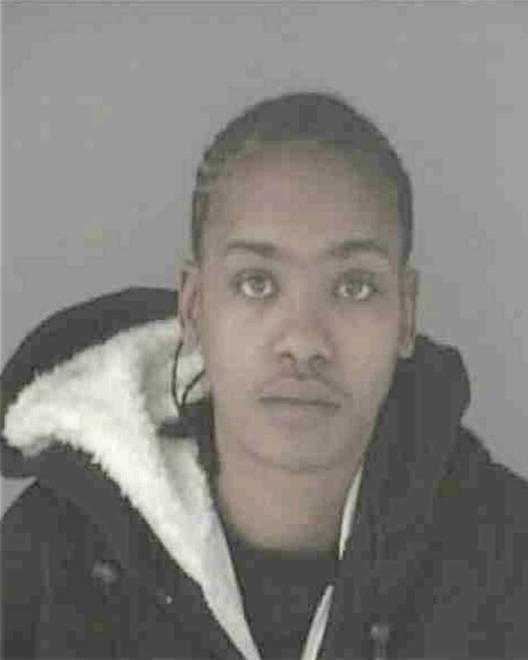ERVING, SHELSEA SHANTEL - Peoria County, IL