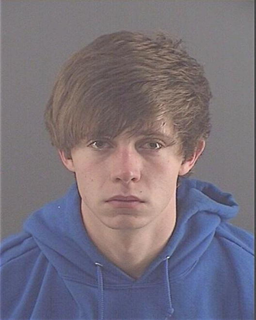 NELSON, MATTHEW R - Peoria County, IL