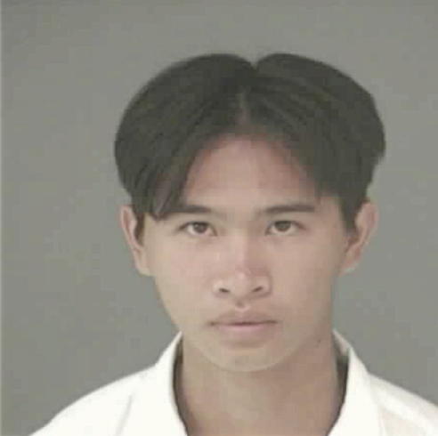 NGUYEN, LINH HUU - Peoria County, IL