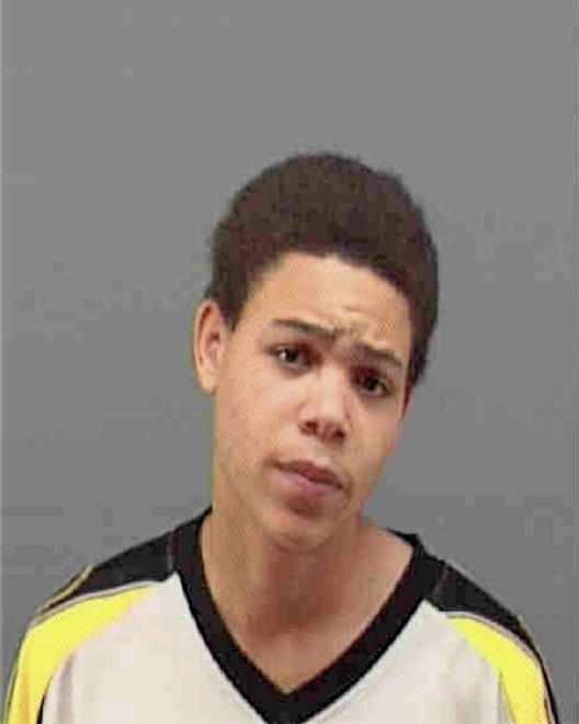 IRVIN, MICHAEL LEE - Peoria County, IL