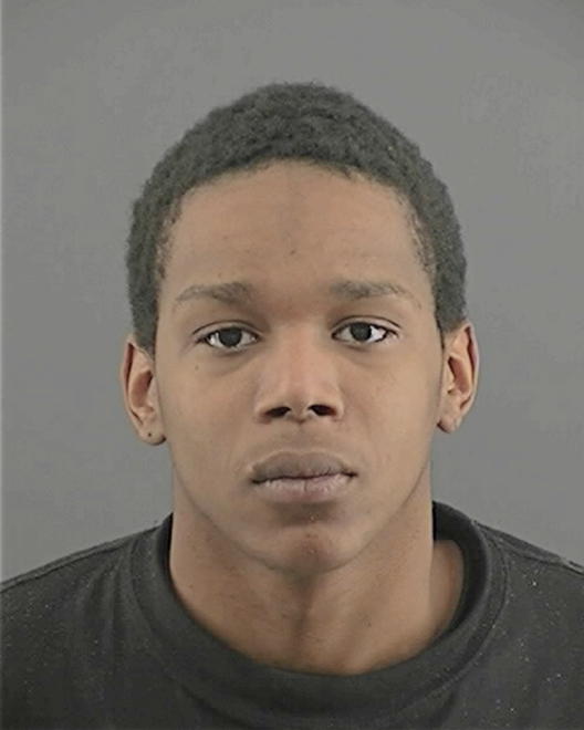 WILLIAMS, DESHAWN L - Peoria County, IL