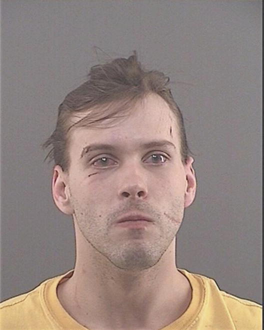 SHERLOCK, JUSTIN D - Peoria County, IL
