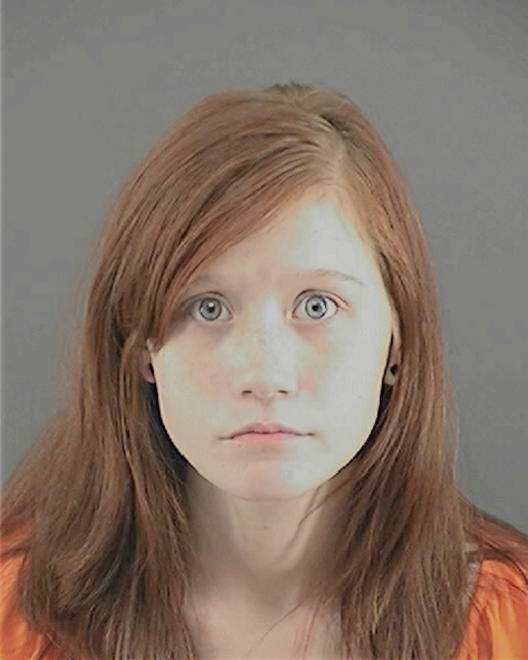 WOOD, AMANDA LYNN - Peoria County, IL