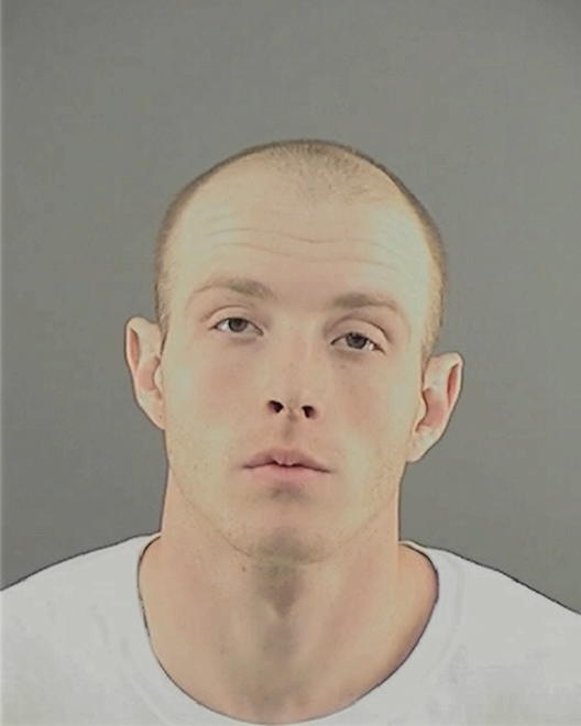 WILLIAMSON, JOHN KEVIN - Peoria County, IL