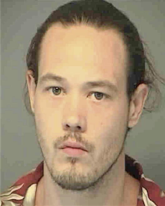 HAYES, JAMES LEE - Peoria County, IL