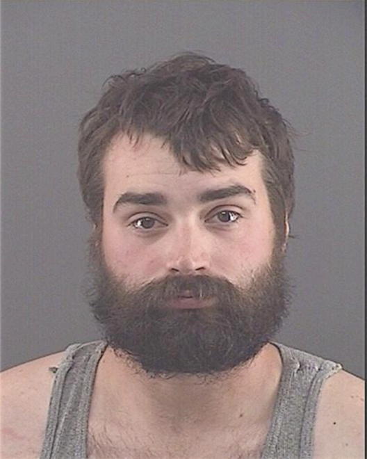 LADWIG, DAKOTA L - Peoria County, IL