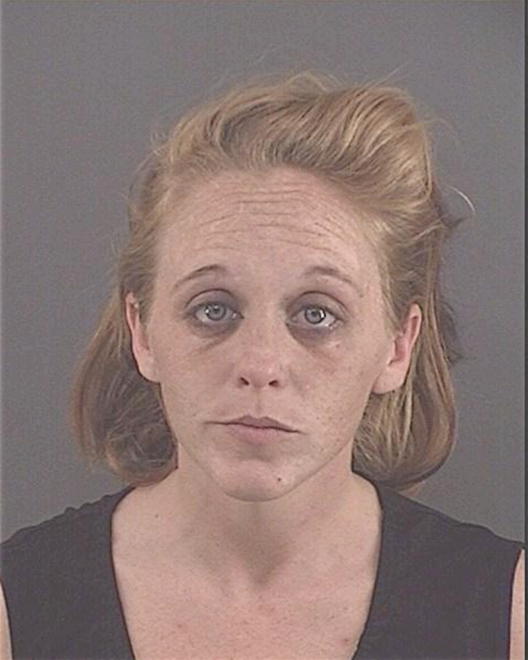 SCHMITT, ANDREA L - Peoria County, IL