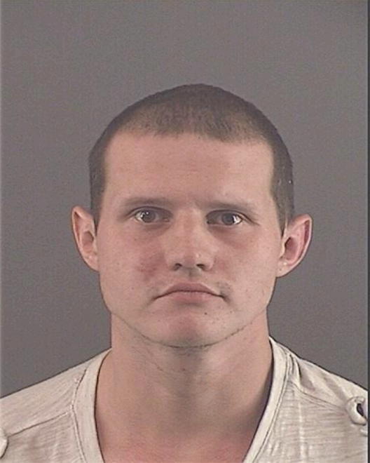 LOGGINS, WESLEY T - Peoria County, IL