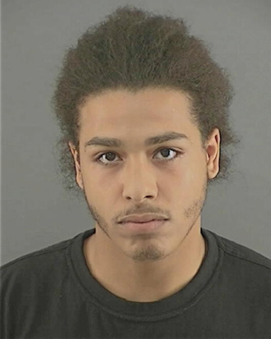 MCNEAL, JANSEN JERAEL - Peoria County, IL