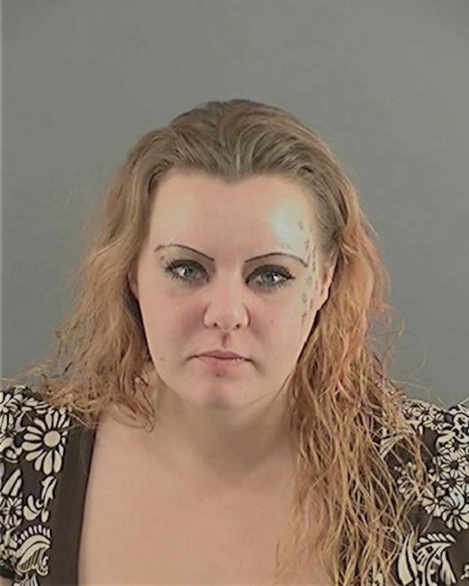 GOSSAGE, LISA NICOLE - Peoria County, IL
