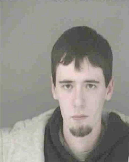 WILLIAMSON, MITCHELL GIDEON - Peoria County, IL