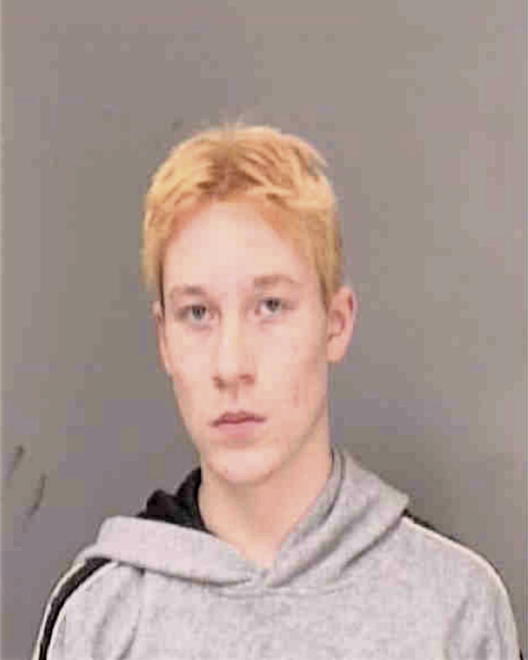 ANDERSEN, MATTHEW ALLAN - Peoria County, IL