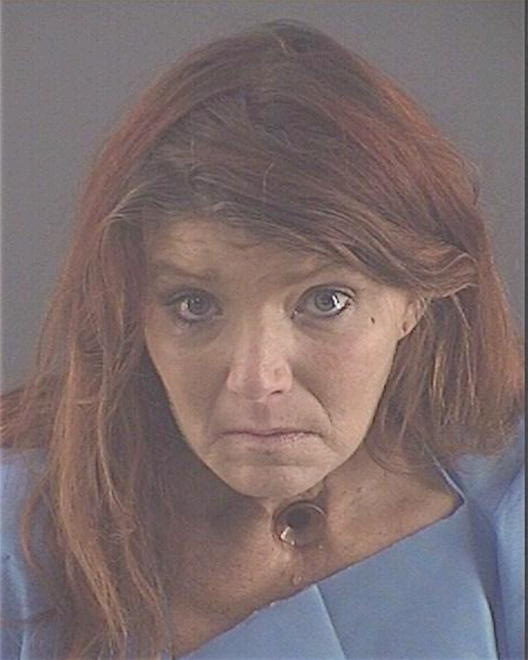 ROACH, TERRI J - Peoria County, IL