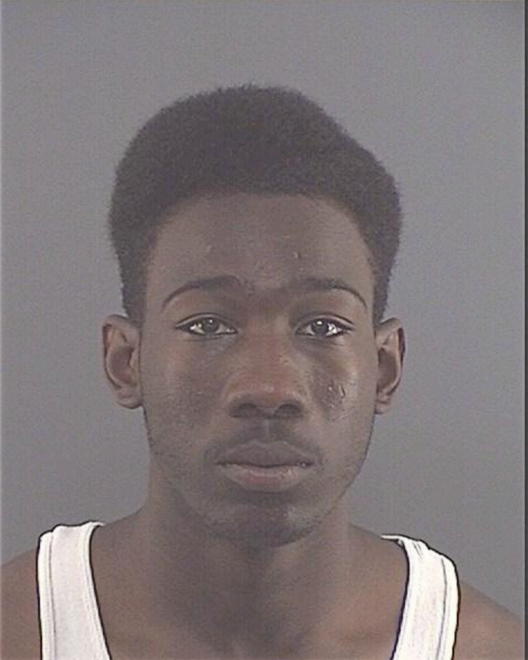 POLNITZ, ANTHONY J - Peoria County, IL