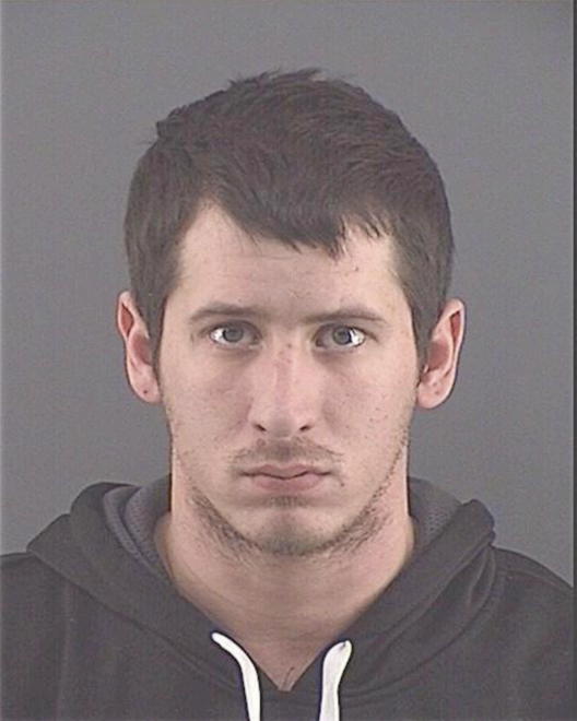 BRIDGEMAN, JAMES WILLIAMS - Peoria County, IL