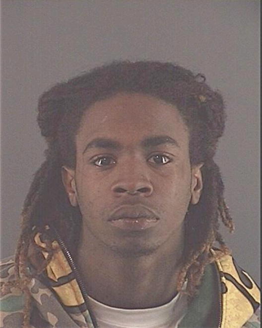 MCGEE, MARTARIUS J - Peoria County, IL