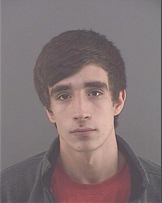 DAVIS, DREW M - Peoria County, IL