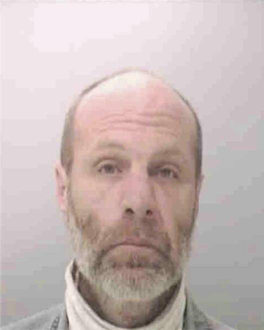 HERMANN, WILLIAM TODD - Peoria County, IL