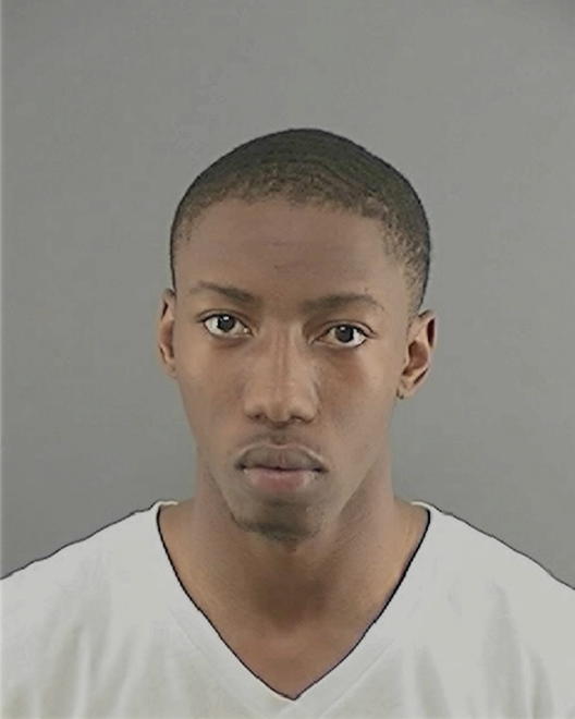 ANDERSON, DAVID MANUEL - Peoria County, IL
