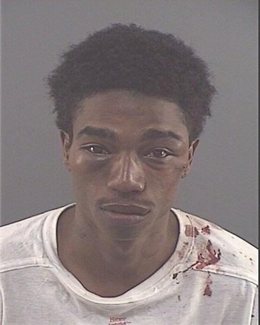 BROWN, OBRIAN DEMARKO - Peoria County, IL