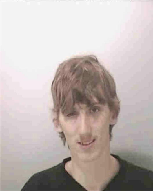 HOLMES, BRODY J - Peoria County, IL