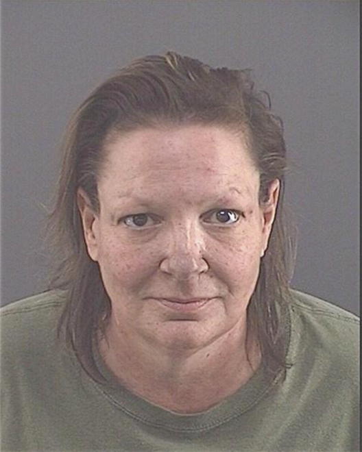 FLANNERY, CINDI J - Peoria County, IL
