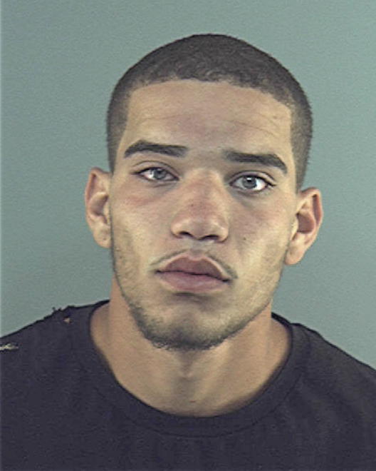 MONTGOMERY, CHRISTOPHER MANNING - Peoria County, IL