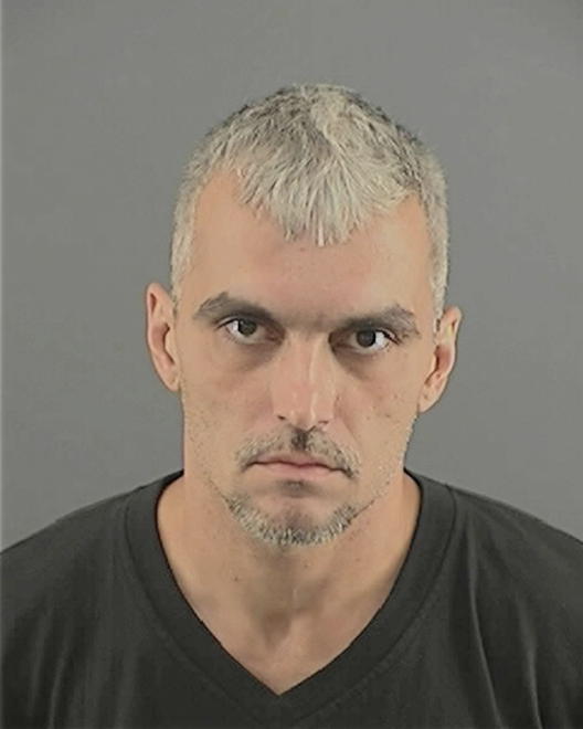 RUBINI, CARL TRACEY - Peoria County, IL