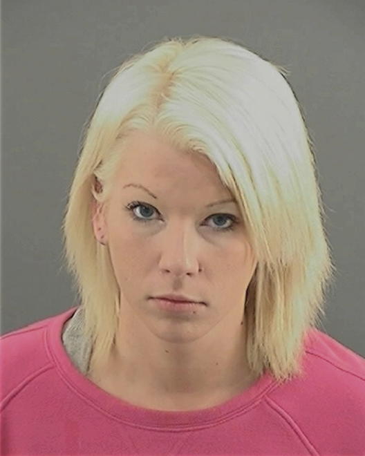 WEBSTER, SARAH LYNN - Peoria County, IL