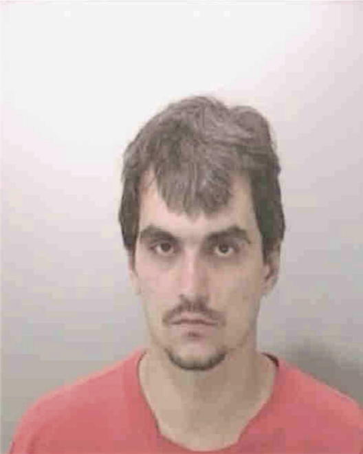 RUBINI, CARL TRACEY - Peoria County, IL