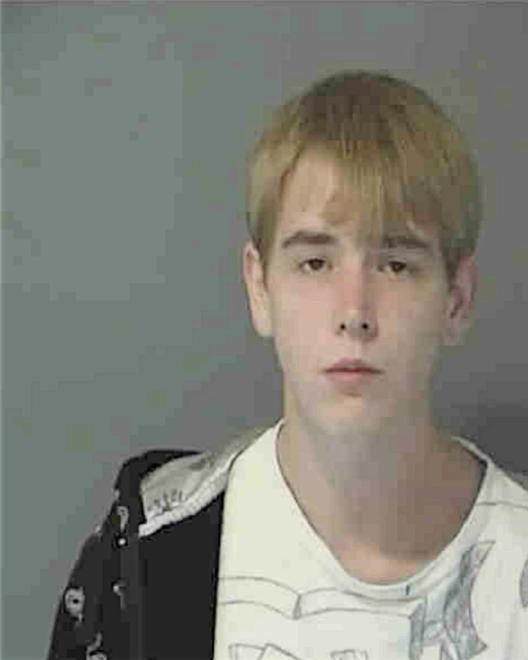 HAMILTON, CODY M - Peoria County, IL