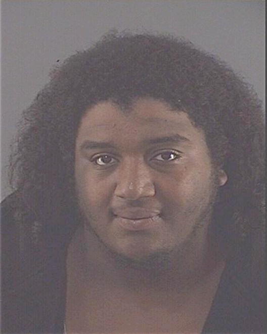 HARDIN, VINCENT JAMAL - Peoria County, IL