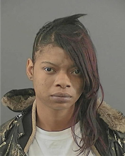 FOSTER, LAKISHA TASHA - Peoria County, IL