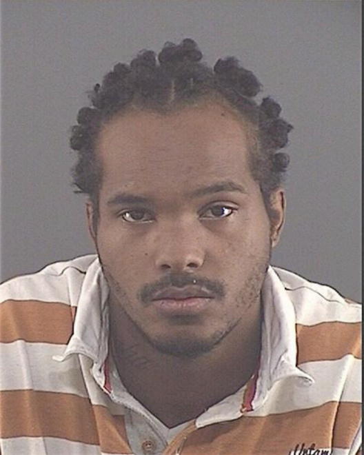 PALMER, HASAN - Peoria County, IL