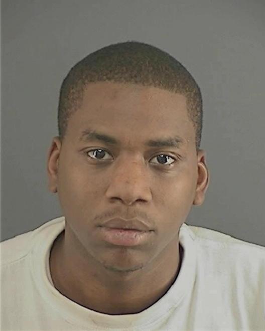 PAGE, BRYAN ORLANDIS - Peoria County, IL
