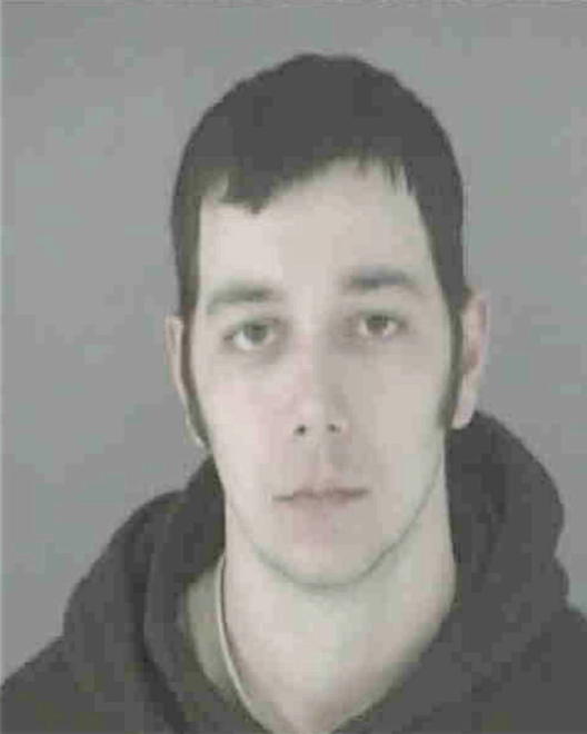 WERTZ, BRUCE AARON - Peoria County, IL