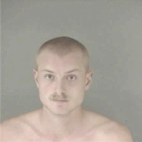 DONALD, AARON DANIEL - Peoria County, IL