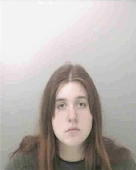 PTASHNIK, ASHLEY B - Peoria County, IL