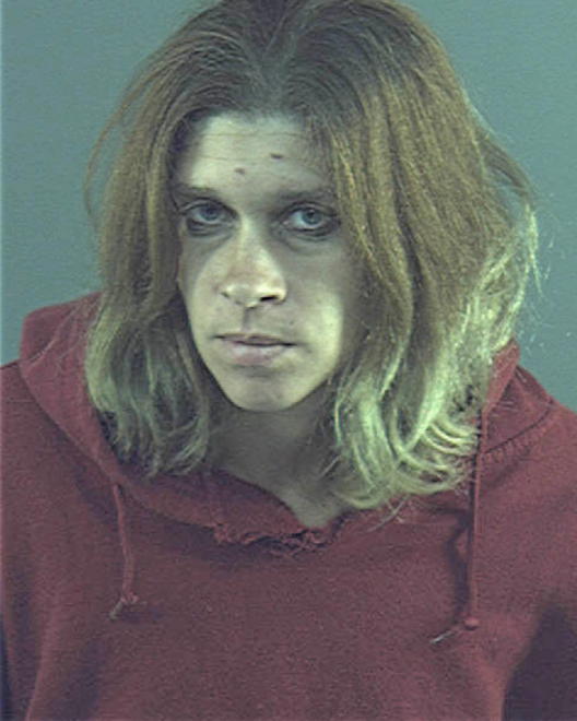 BEZDEK, TRACI L - Peoria County, IL