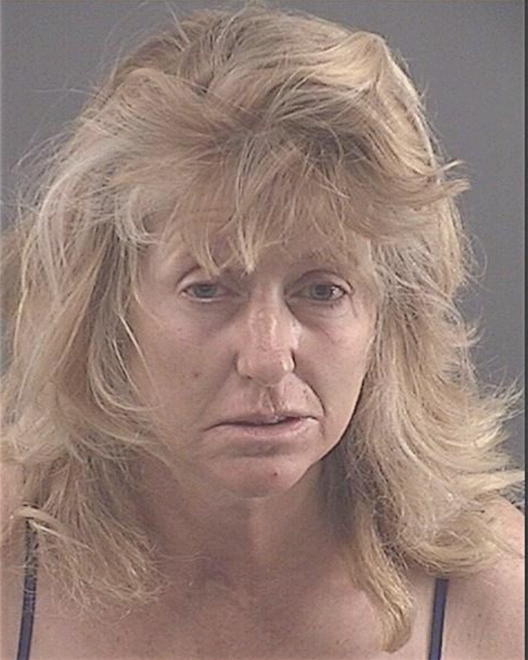 VAUGHAN, WENDY ROSE - Peoria County, IL