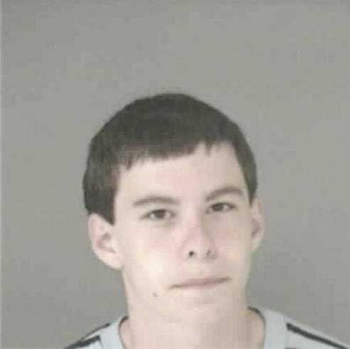 CLEMONS, RYAN MATTHEW - Peoria County, IL
