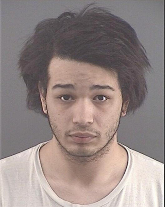 NELSON, KYLE L - Peoria County, IL